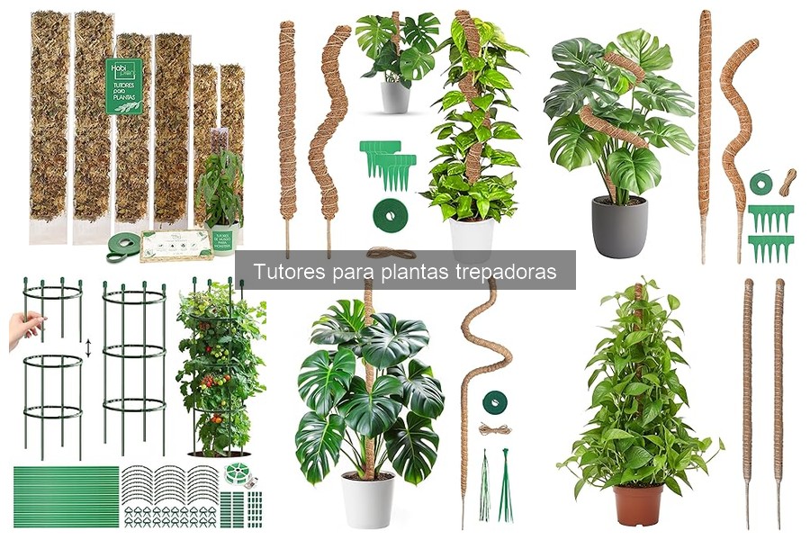 Mejores Tutores para Plantas Trepadoras en Amazon