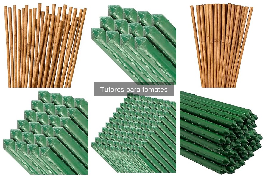Mejores tutores para tomates según tu espacio disponible
