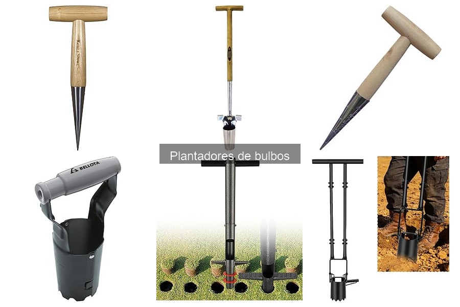 Métodos Efectivos de Siembra para Bulbos de Flor