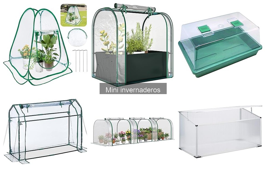 Mini invernaderos ideales para climas fríos: guía completa