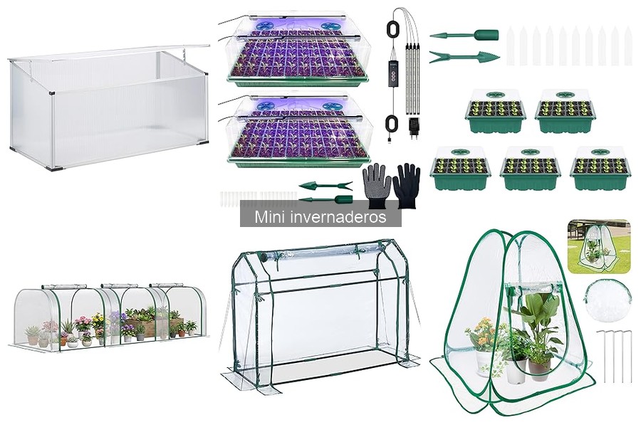 Ofertas y Descuentos en Mini Invernaderos - Mejores Precios