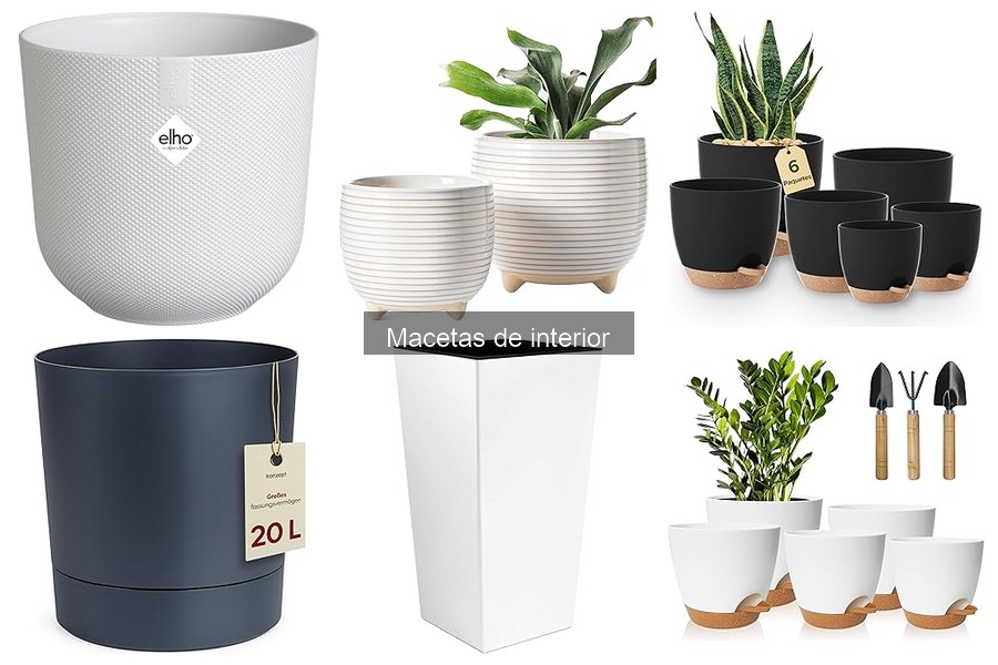 Ofertas y precios de macetas de interior: ¡Descúbrelas ya!