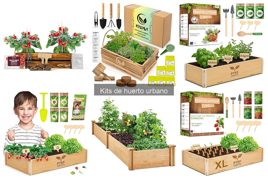 Opiniones sobre los mejores kits de huerto urbano