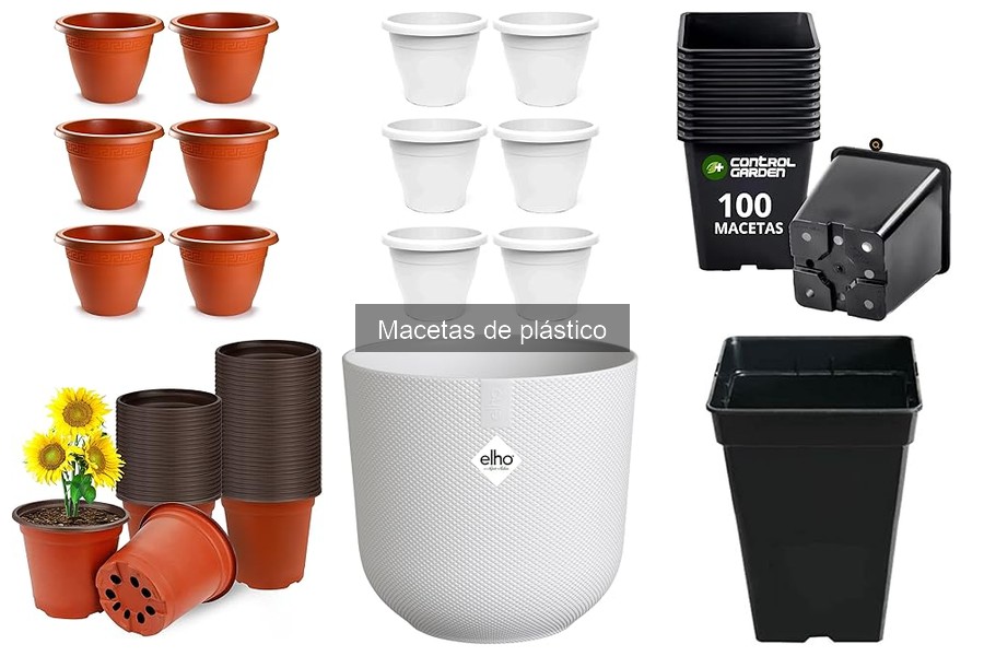 Personaliza tus macetas de plástico: Ideas y técnicas creativas