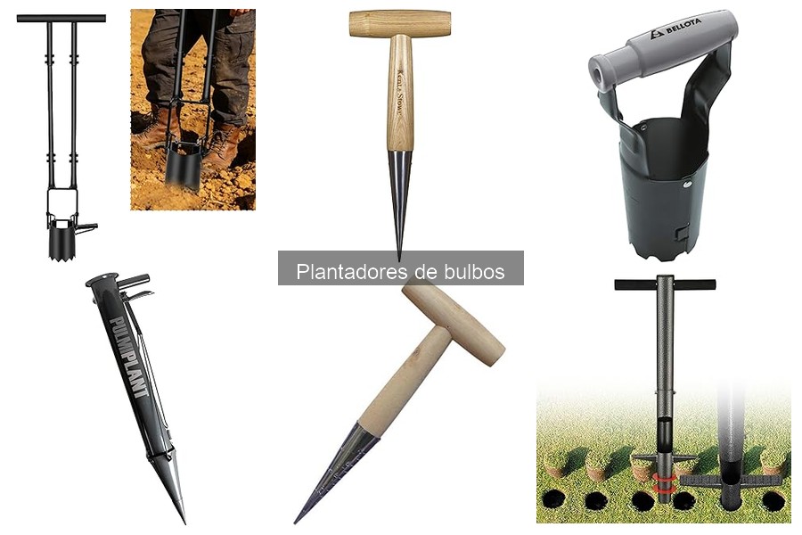 Plagas y Enfermedades Comunes en Bulbos Plantados