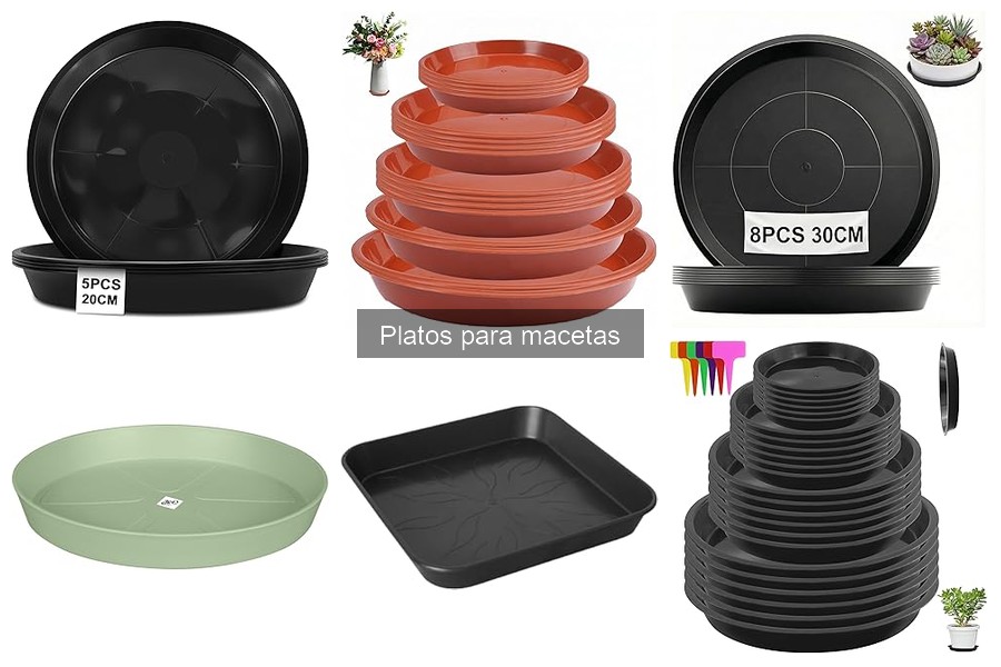 Platos para macetas: diseño y estilo en tu hogar