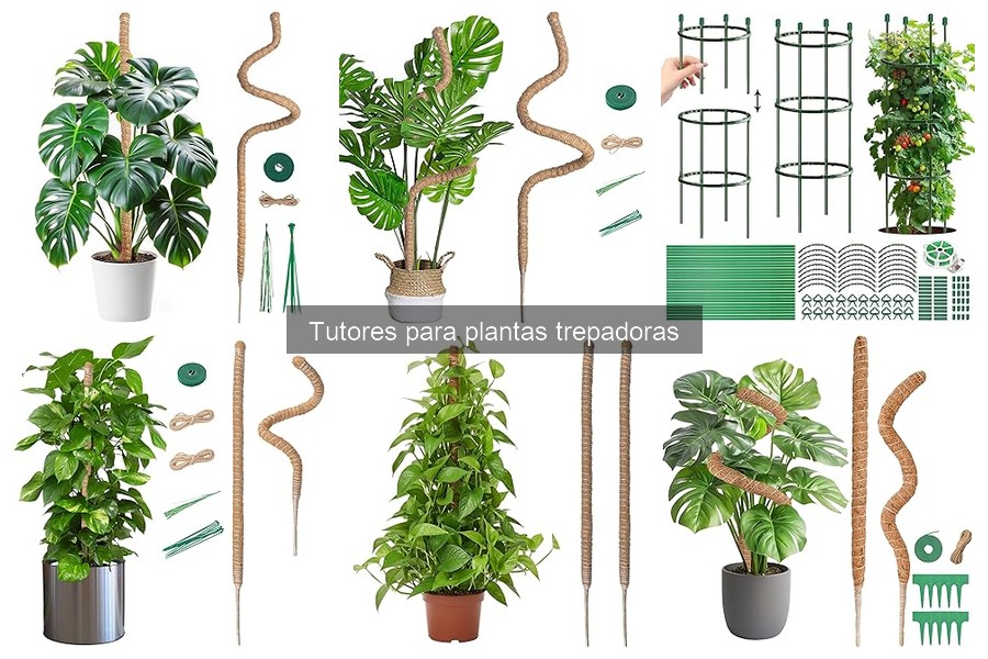 Precio promedio de tutores para plantas trepadoras