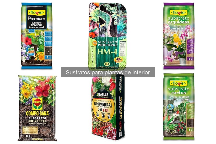 Precios de sustratos para plantas de interior: guía y ofertas