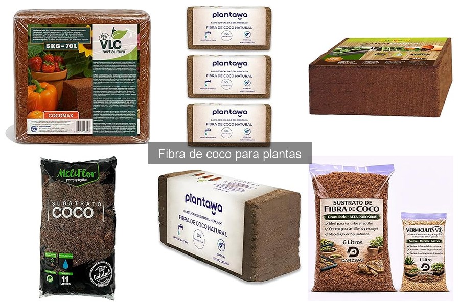 Precios y Dónde Comprar Fibra de Coco para Plantas Online