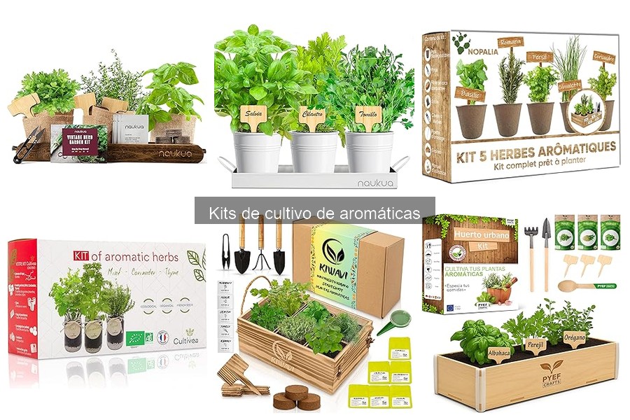 Preguntas frecuentes sobre kits de cultivo de aromáticas