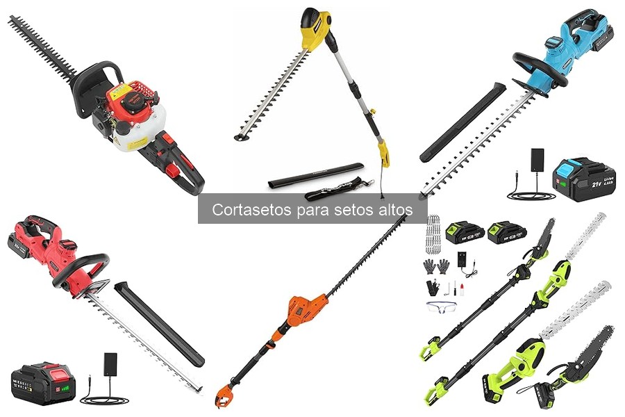 ** Problemas comunes al usar cortasetos para setos altos