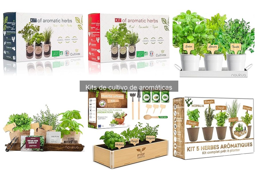 Problemas Comunes al Usar Kits de Cultivo de Aromáticas