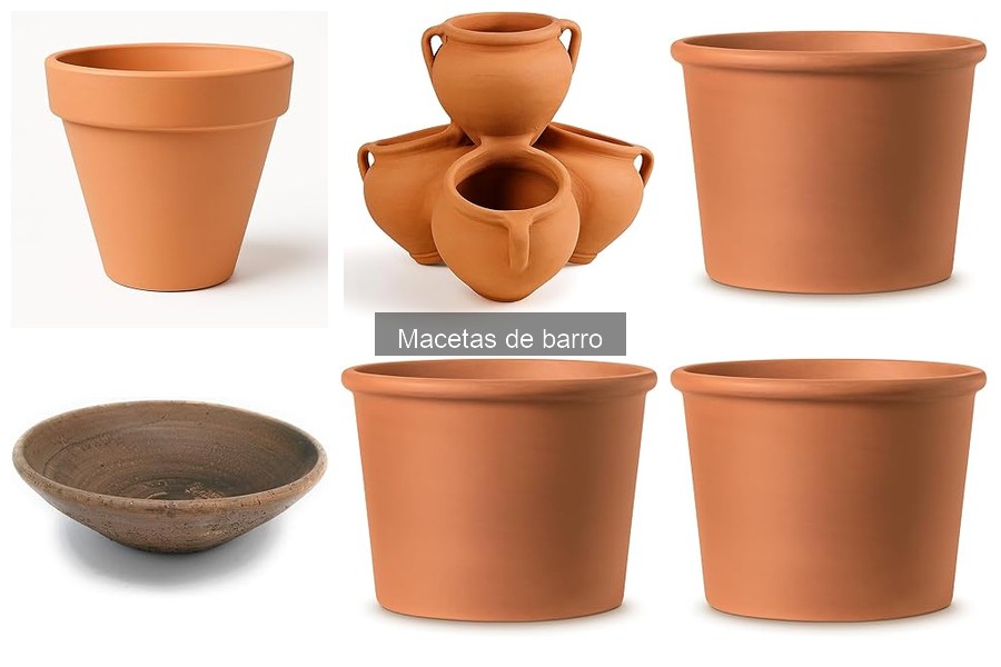 Problemas comunes al usar macetas de barro y sus soluciones