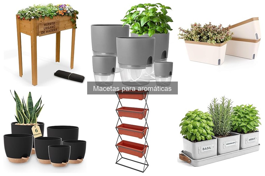Problemas comunes al usar macetas para plantas aromáticas
