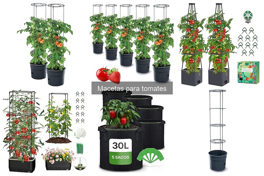 Problemas Comunes al Usar Macetas para Tomates y sus Soluciones