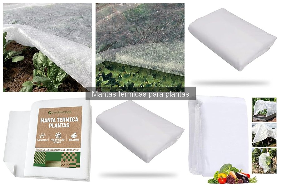 Problemas comunes al usar mantas térmicas para plantas