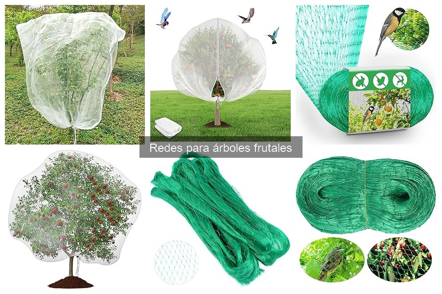 Problemas comunes al usar redes para árboles frutales