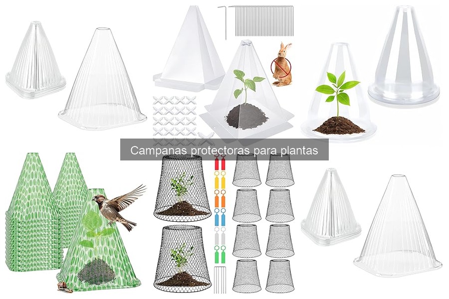 Problemas comunes con campanas protectoras para plantas