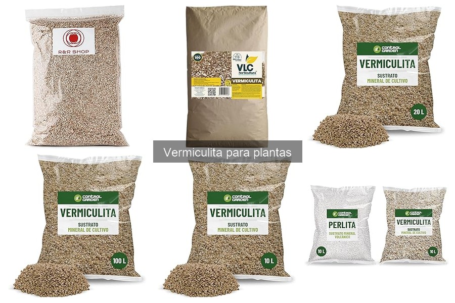 Problemas comunes con la vermiculita y sus soluciones