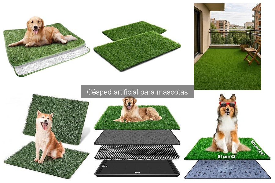 Problemas comunes del césped artificial para mascotas y soluciones