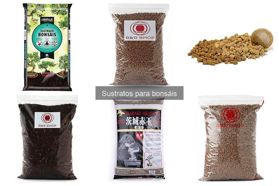 Problemas comunes del sustrato para bonsáis y soluciones