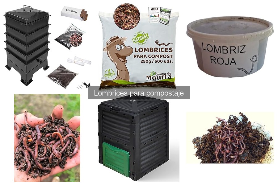 Problemas comunes en el vermicompostaje y sus soluciones