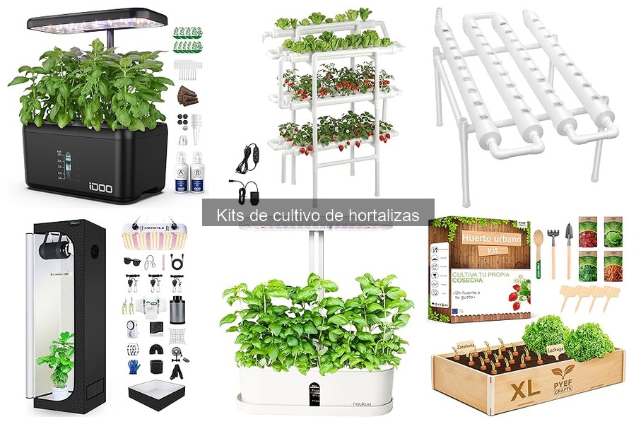 Problemas comunes en kits de cultivo de hortalizas