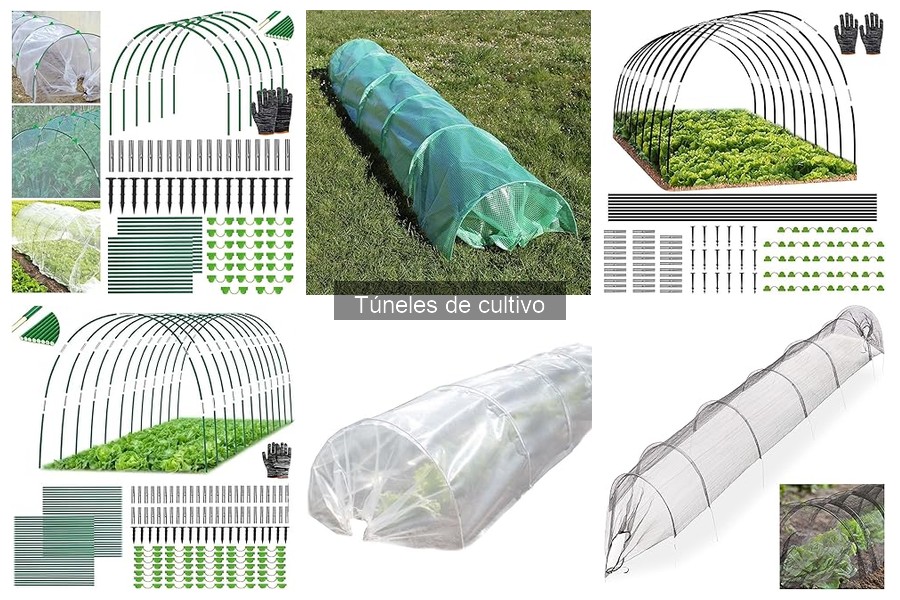 Problemas comunes en túneles de cultivo y soluciones efectivas