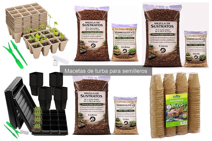 Problemas con macetas de turba: soluciones efectivas