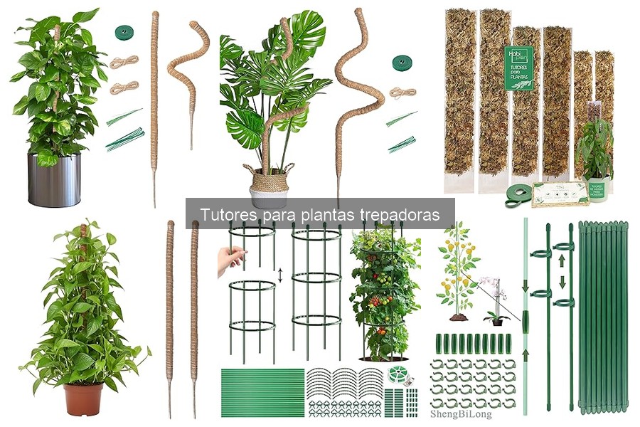 ¿Pueden los tutores dañar tus plantas trepadoras?