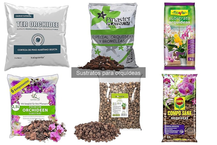 ¿Qué es el sustrato para orquídeas? Guía esencial