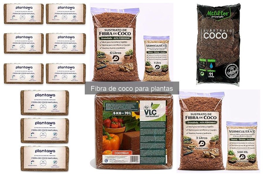 ¿Qué es la fibra de coco y sus beneficios para las plantas?
