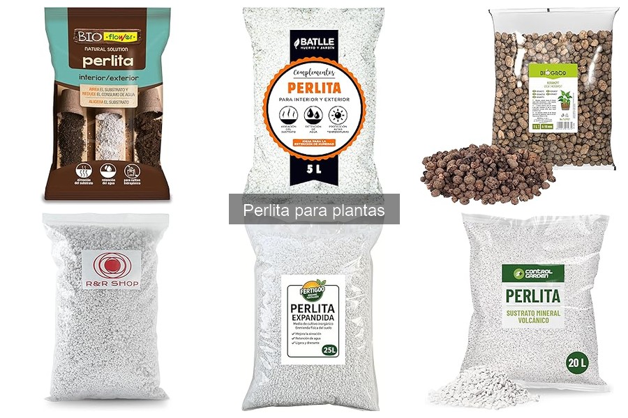 ¿Qué es la perlita para plantas? Características y usos