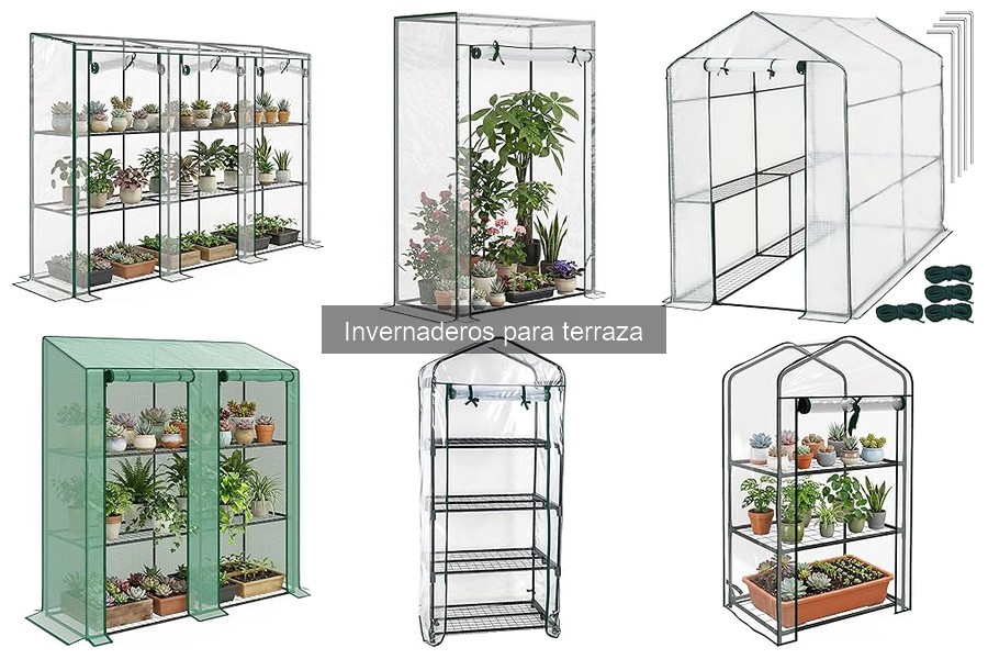¿Qué es un invernadero para terraza? Características y beneficios