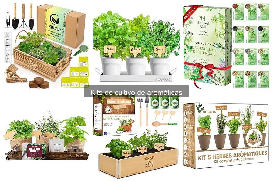 ¿Qué es un kit de cultivo de aromáticas? Descubre sus beneficios