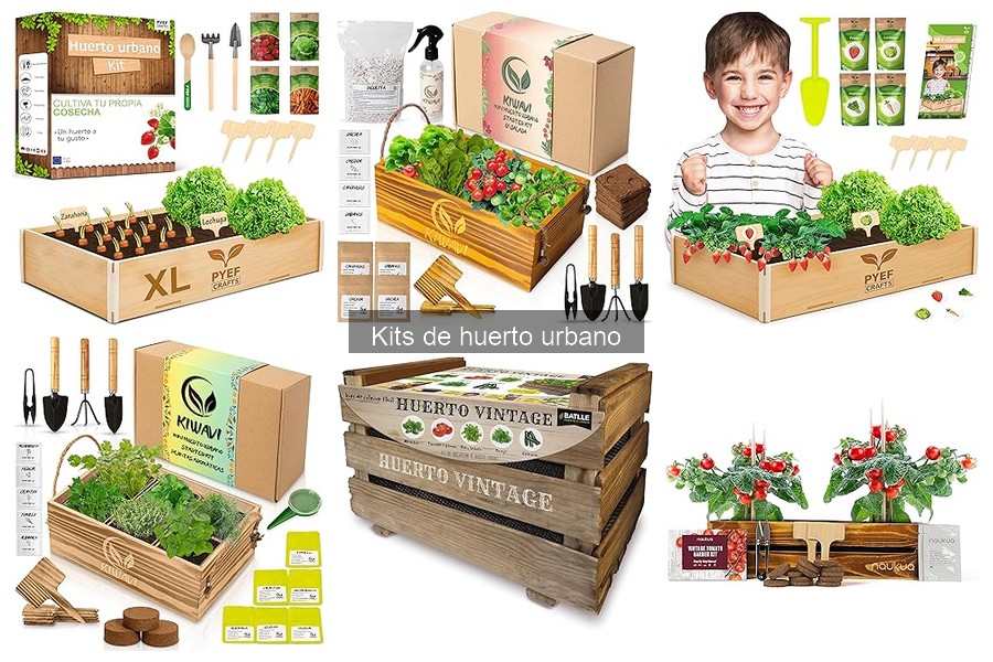 ¿Qué es un kit de huerto urbano? Guía para principiantes