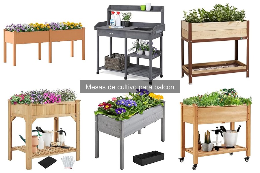 ¿Qué es una mesa de cultivo para balcón? Descúbrelo aquí