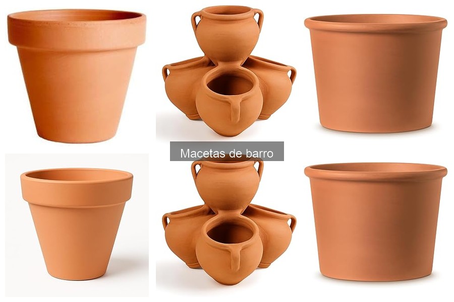 ¿Qué son las macetas de barro? Características y beneficios