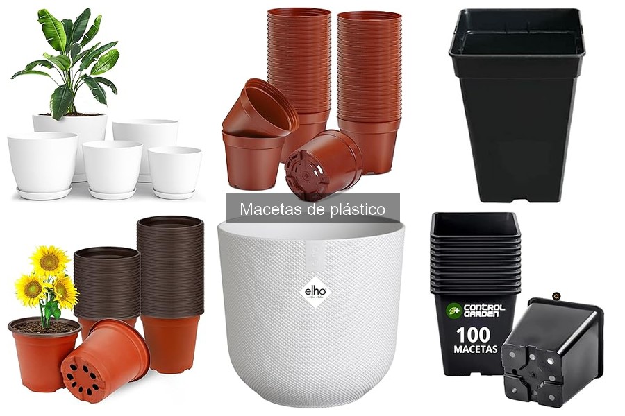 ¿Qué son las macetas de plástico? Características y usos