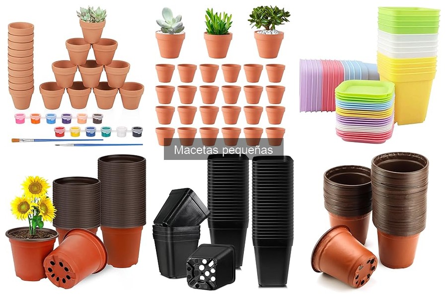¿Qué son las macetas pequeñas y cómo usarlas en jardinería?