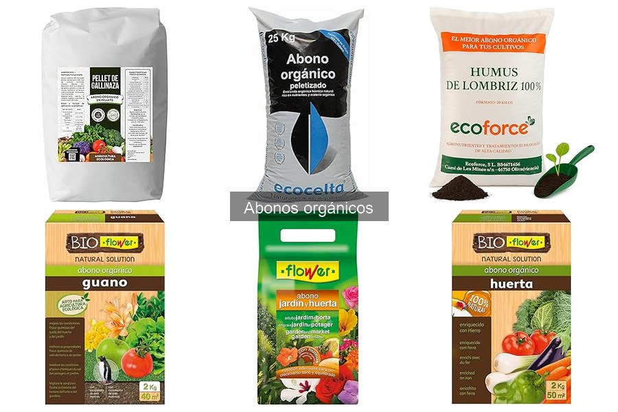 ¿Qué son los abonos orgánicos? Guía y beneficios