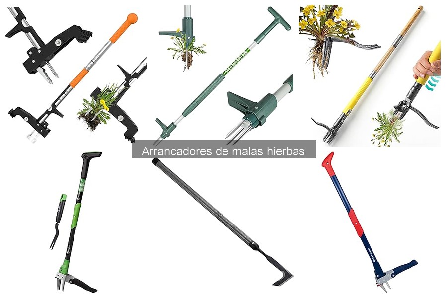 ¿Qué son los arrancadores de malas hierbas? Guía básica