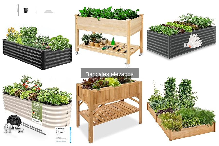 ¿Qué son los bancales elevados y sus beneficios en jardinería?