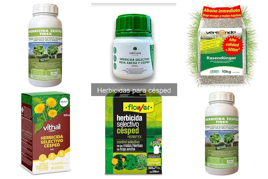Qué son los herbicidas para césped y sus funciones