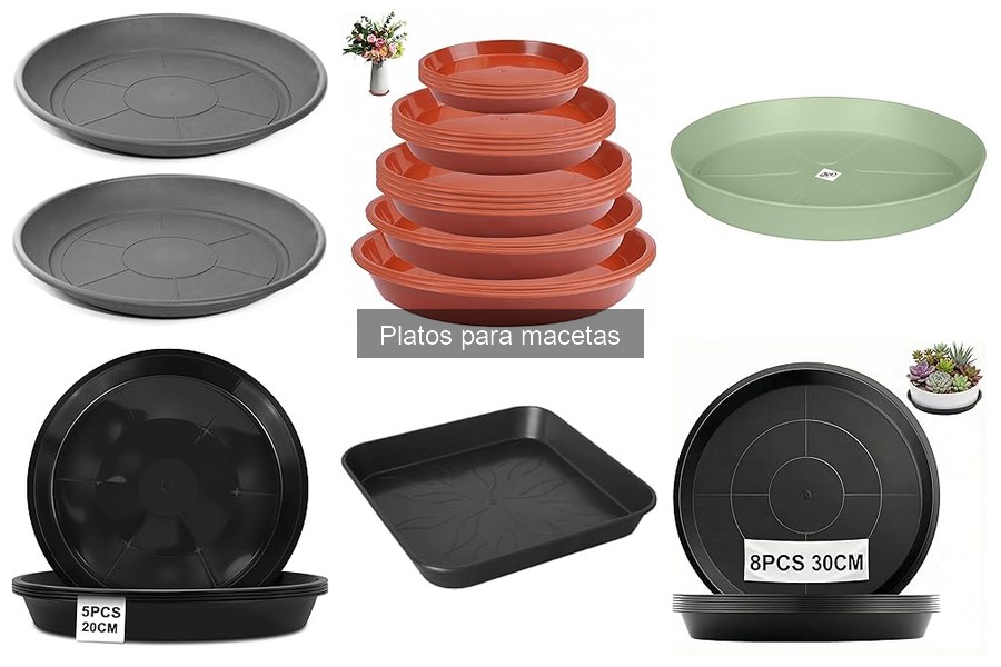 Qué son los platos para macetas y su importancia