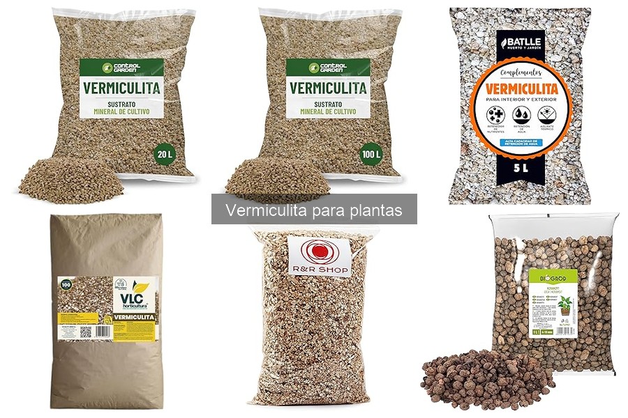 Reciclar vermiculita usada en el jardín: consejos prácticos