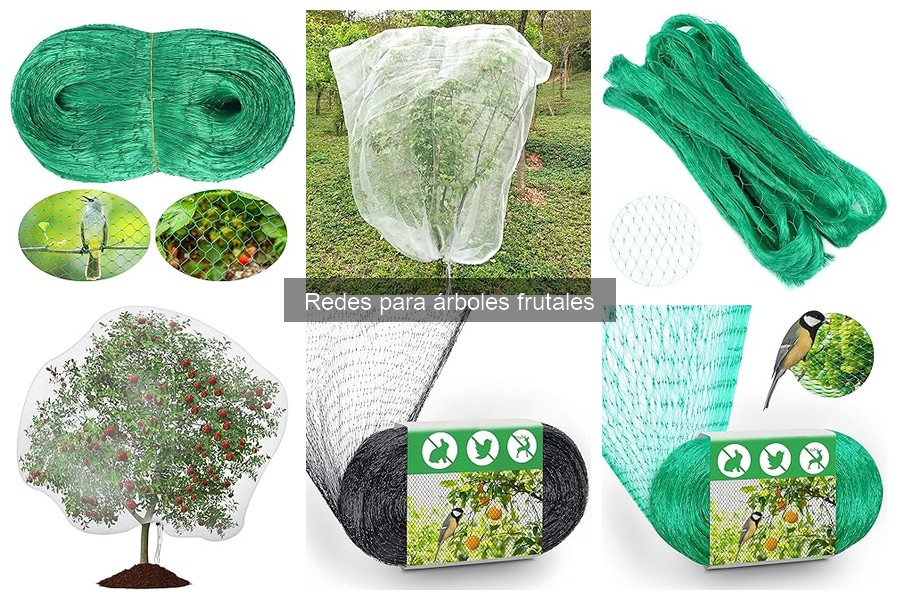 Redes para árboles frutales: ¿Qué son y cómo funcionan?