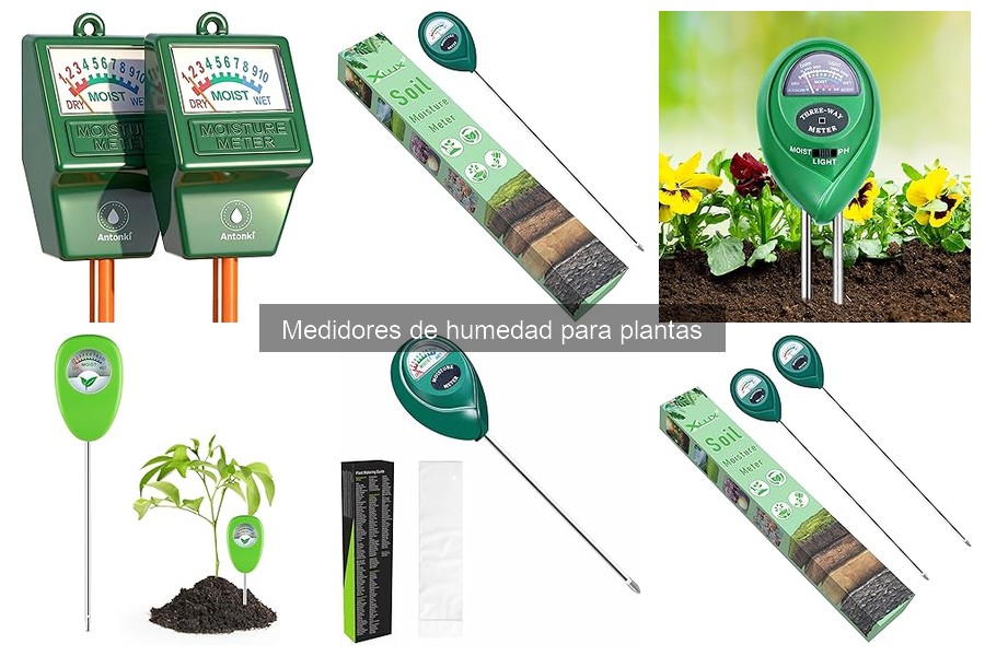 Soluciones a Errores Comunes con Medidores de Humedad