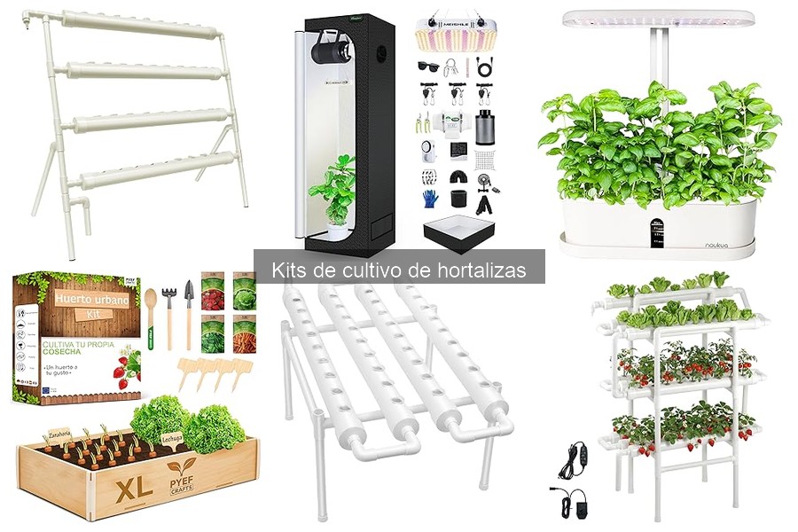 Soluciones a Problemas Comunes en Kits de Cultivo de Hortalizas