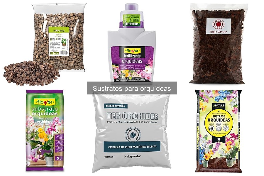 Soluciones si el sustrato para orquídeas no drena bien
